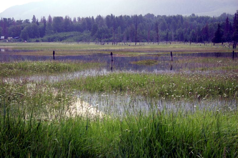 070304 Hope Seward Hope (10013)